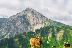 Wanderung im Tannheimer Tal