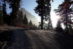 Wanderweg auf den Breitenberg