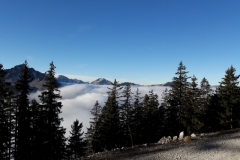 Wanderweg auf den Breitenberg