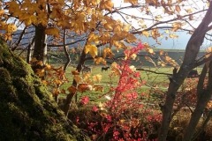 Wanderung rund um Pfronten