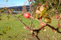 Herbstliche Wanderung am Grüntensee