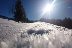 Winterwonderland