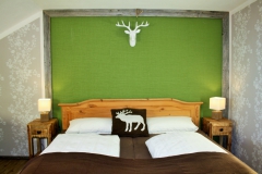 Schlafzimmer 1 Alpenblick